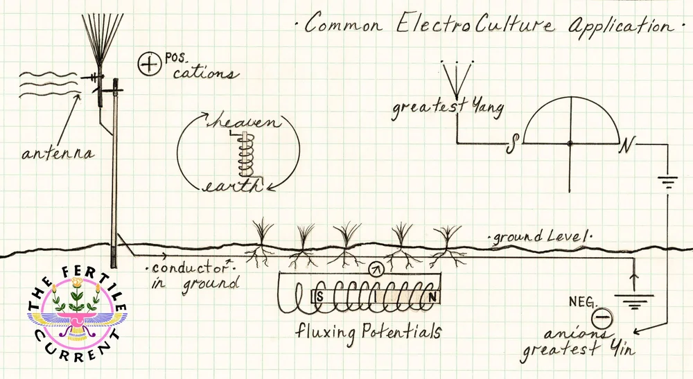 Diagrama de uma instalação de campo de eletrocultura comum, mostrando uma antena a recolher catiões positivos da atmosfera, a conduzir corrente através do solo, por condutores enterrados, até às raízes das plantas, e uma bobina de potenciais em fluxo ao nível do solo, equilibrada por uma haste ligada à terra, orientada a norte-sul, que transporta a carga negativa dos aniões.